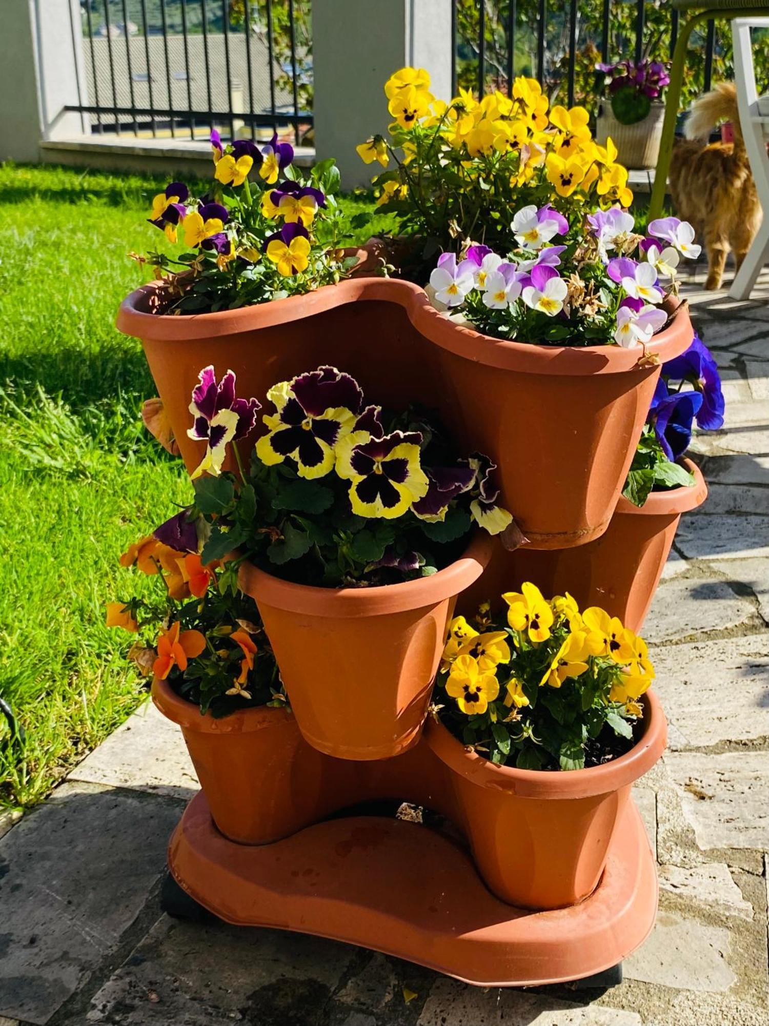 Dimora Il Campanile Chieti Exterior foto